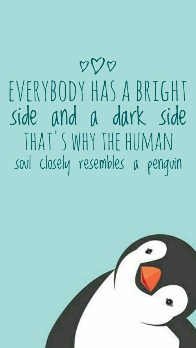 Penguin World Club (@penguin_world09) on Twitter photo 