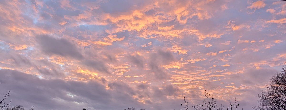 Diego/Patterns tweet media