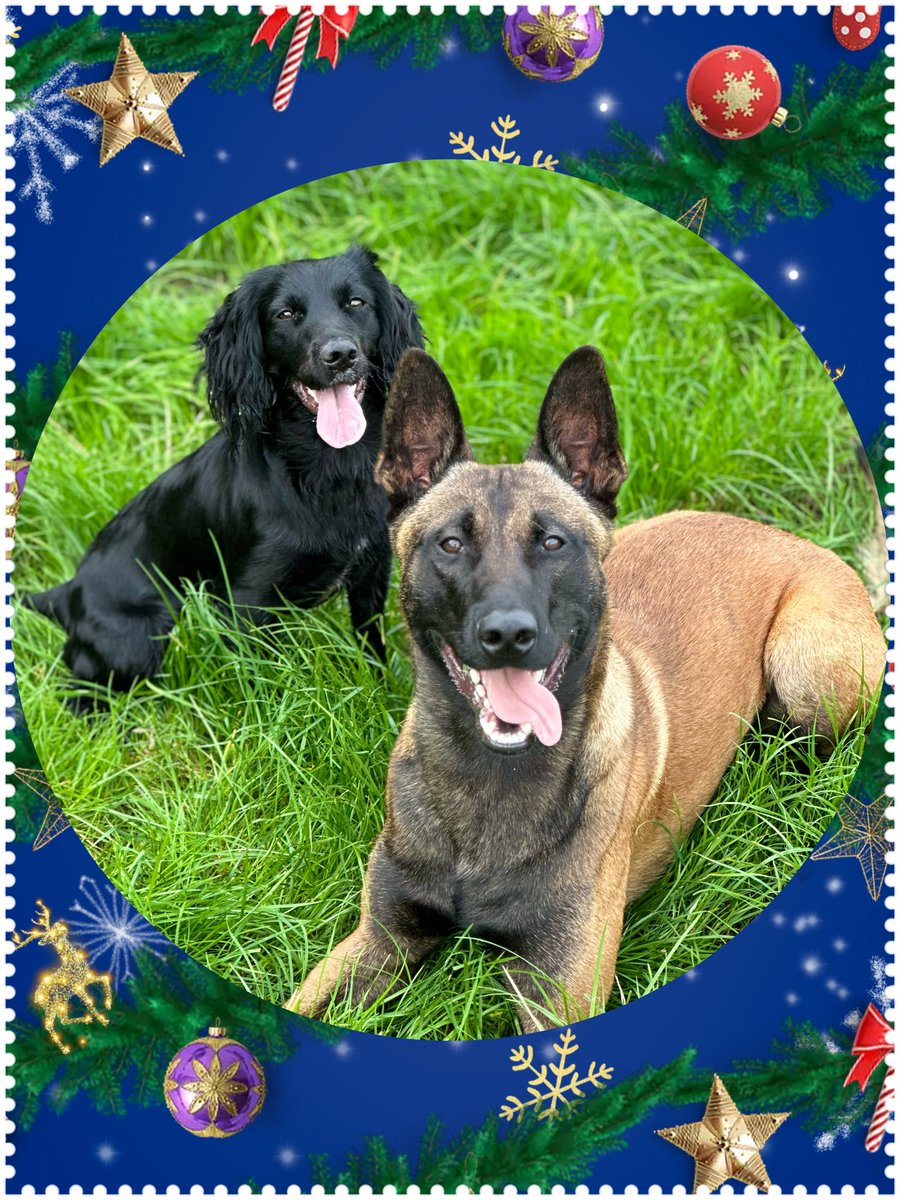 K901- PD Vega & TPD Menai tweet media