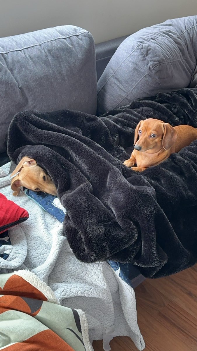 Xmas Eve Cuddle Session with the sick daddies