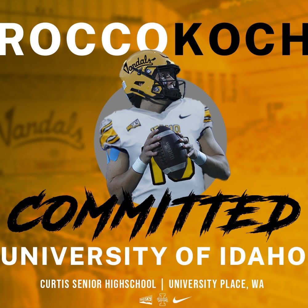 Rocco Koch tweet media