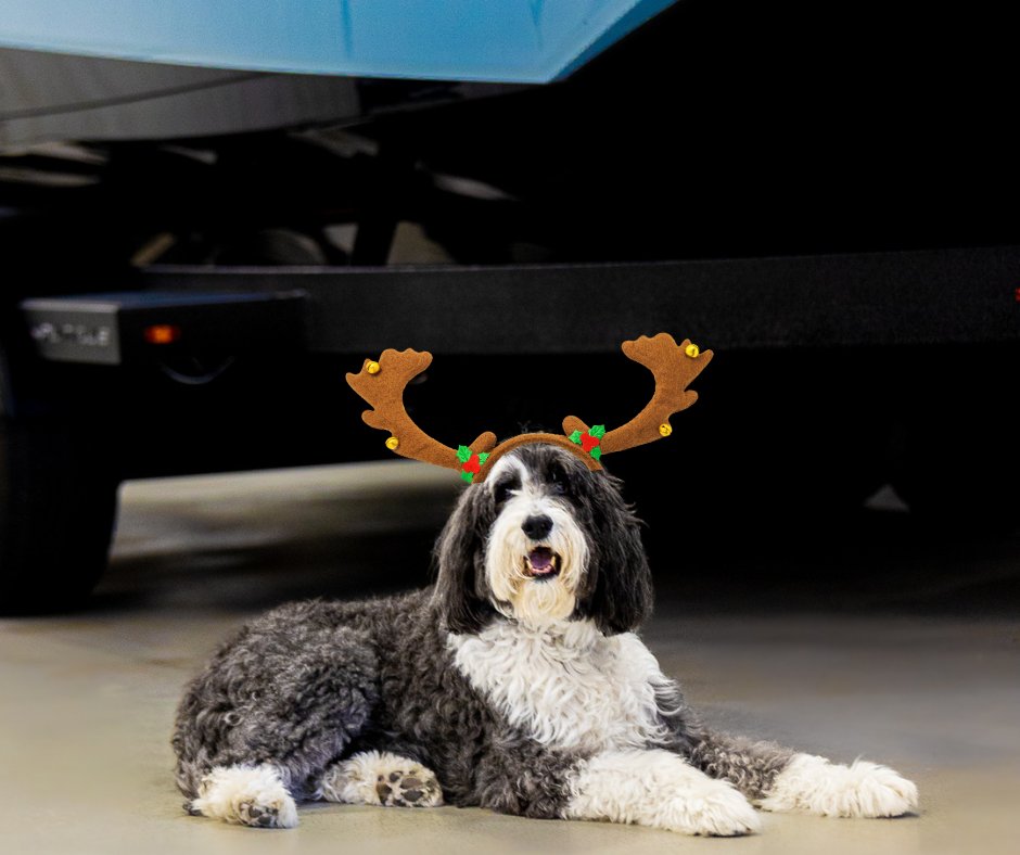 awsboatsco's tweet photo. Happy Howl-idays from ALL of us at Action Watersports! https://t.co/YsfynHNqtJ