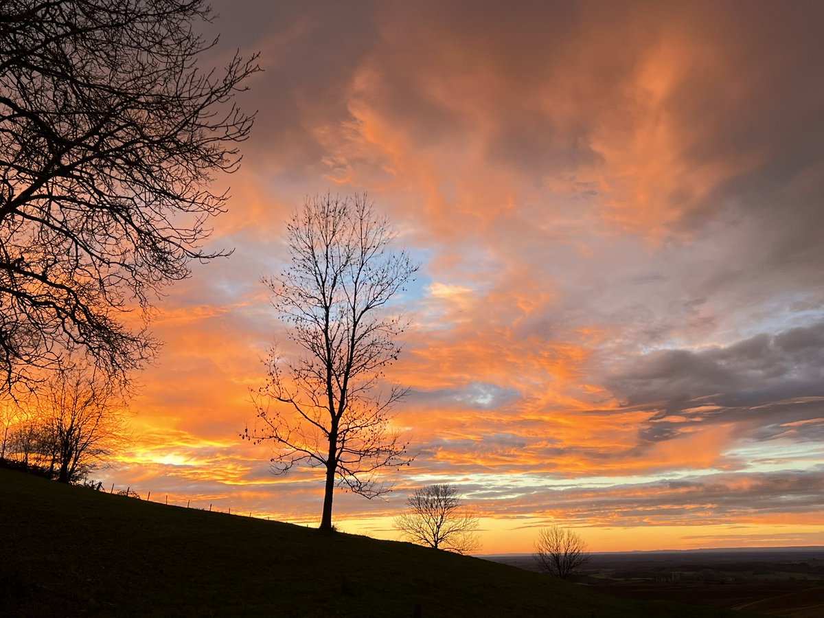 Christophe Chamy tweet media