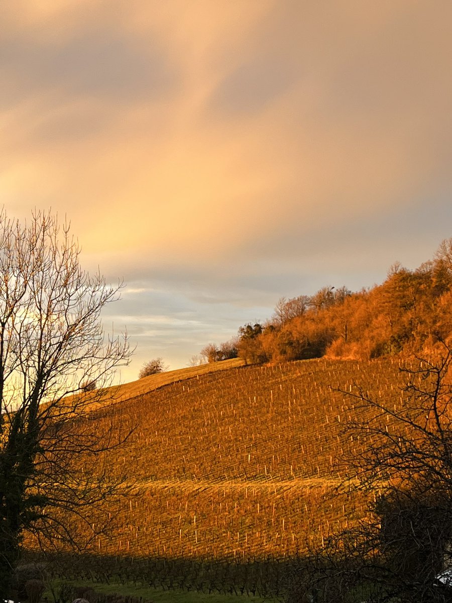 Christophe Chamy tweet media