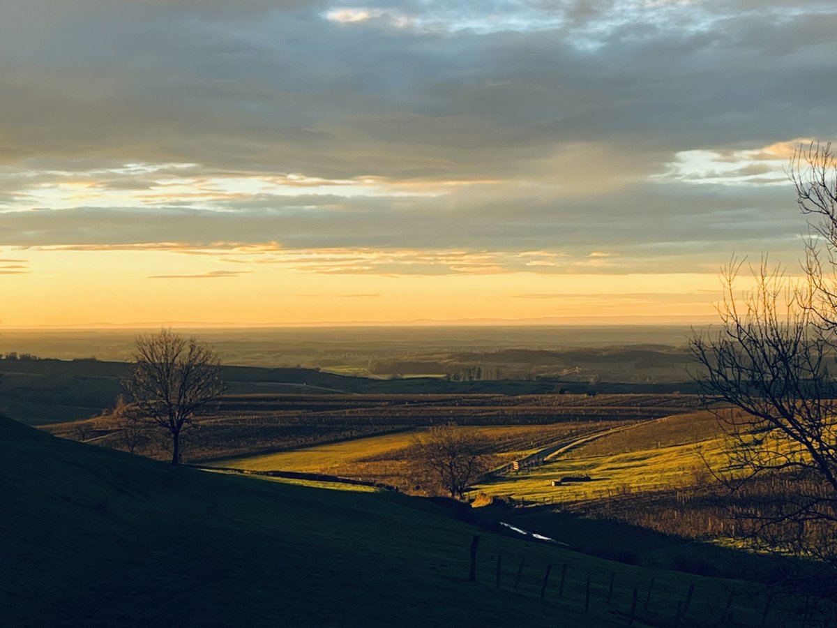 « Another day in Paradise », from <a href="/VilledArbois/">Villed'Arbois</a> #Jura 
Joyeux Noel <a href="/Mitel_FR/">Mitel France</a> 🎄
Merry Christmas <a href="/Mitel/">Mitel® Official</a> 🍾
#StrongestTogether #OneTeam