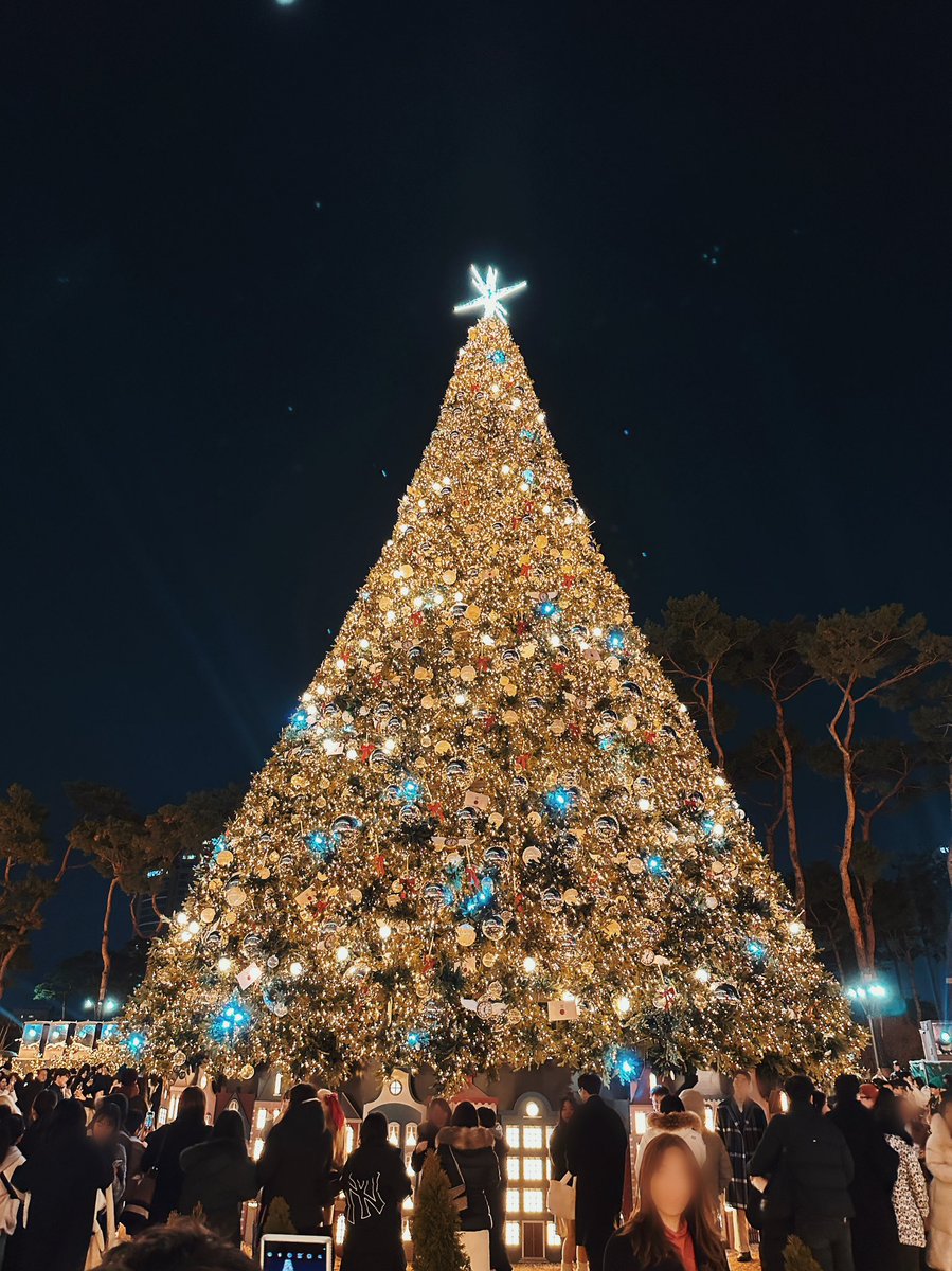 _primrosy's tweet photo. 🎄 https://t.co/ys7QJ9JT4U
