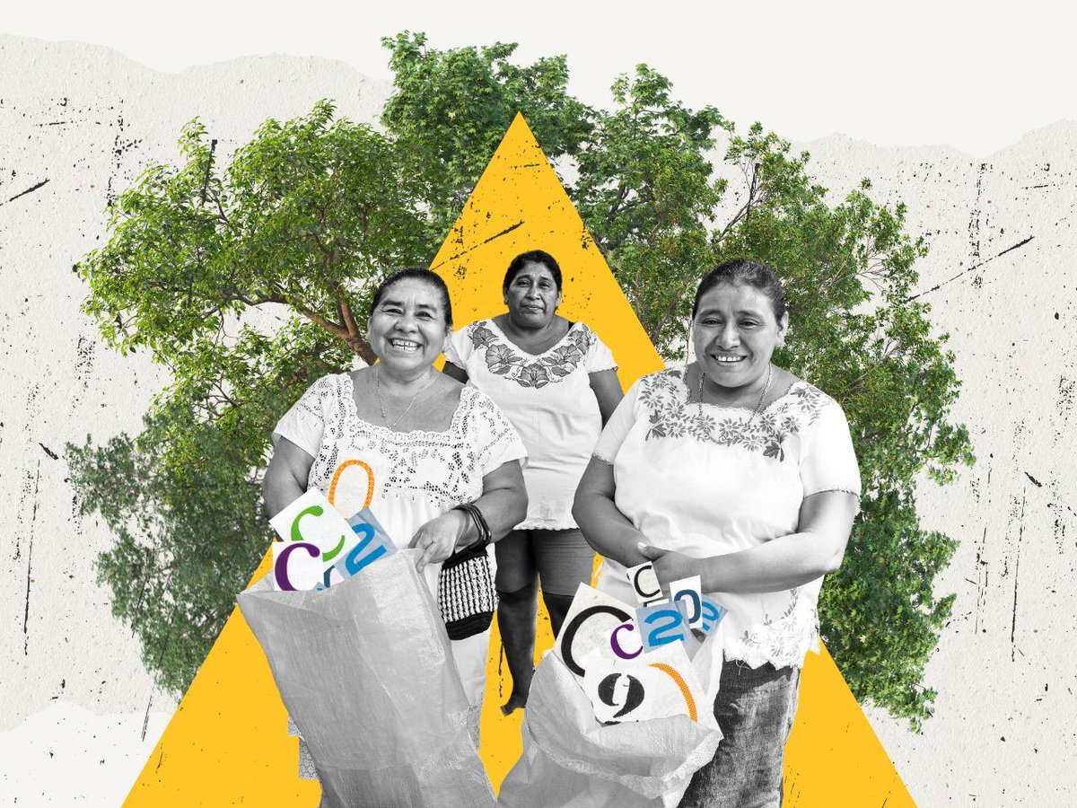 UNDP Planet tweet media