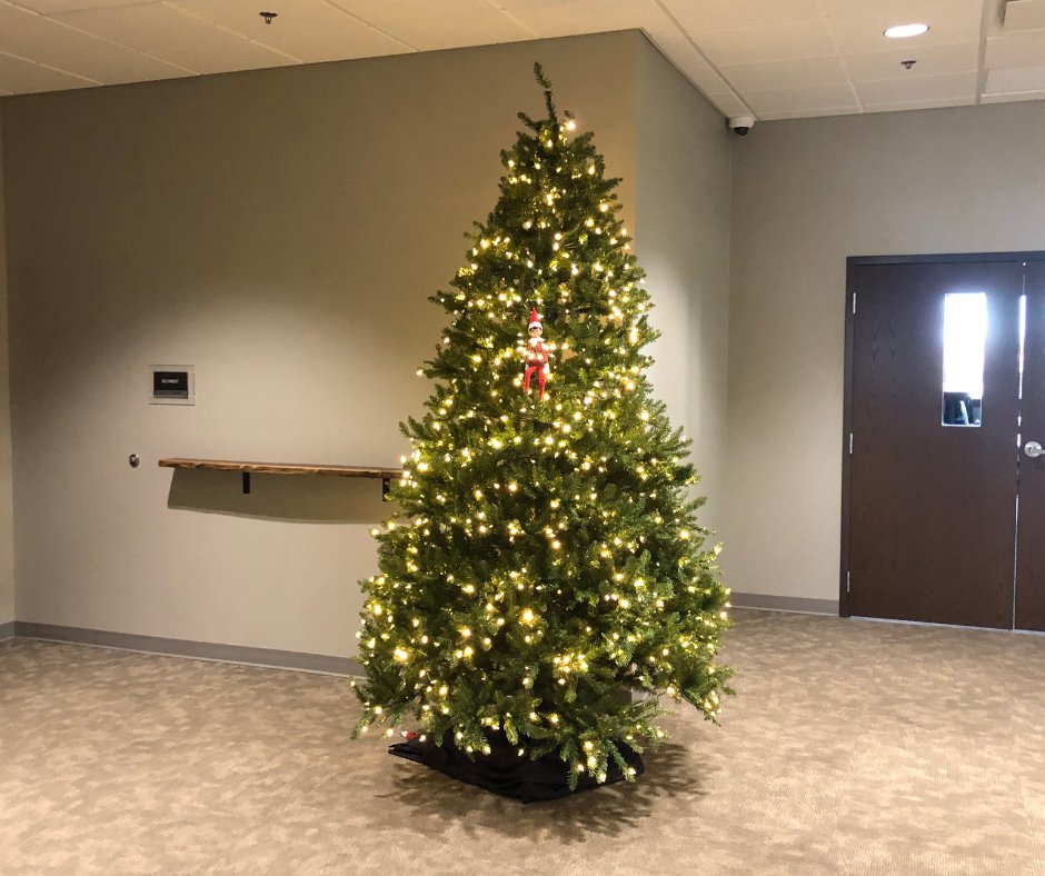 Zingo the Elf 🌟🎄 got a bit wrapped up in the holiday spirit while helping us decorate the Mozingo Event Center tree. ❄️✨ Zingo wishes everyone a Merry Christmas Eve and hopes your home is aglow with the season's magic!