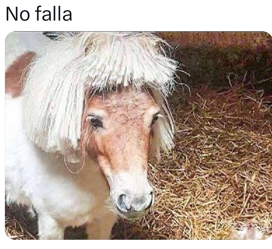 maryananereo2's tweet image. Van a hacer desfile de flequillos también?
#AlertaFlequillo