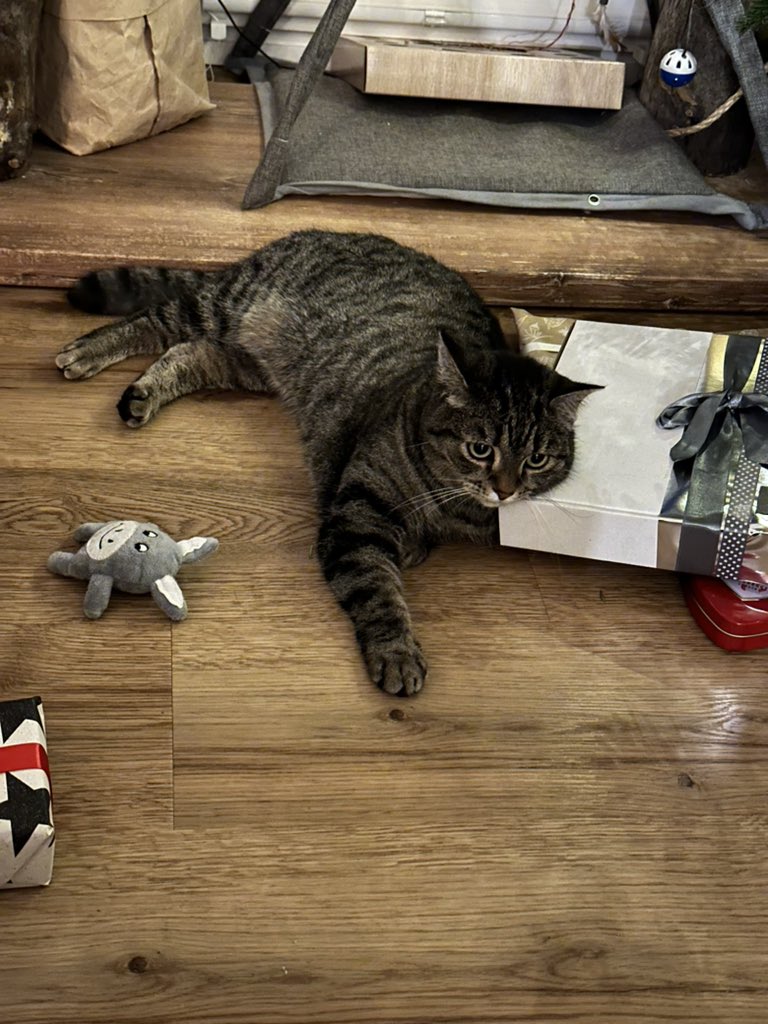 bonuspost: sagt hallo zu fanny