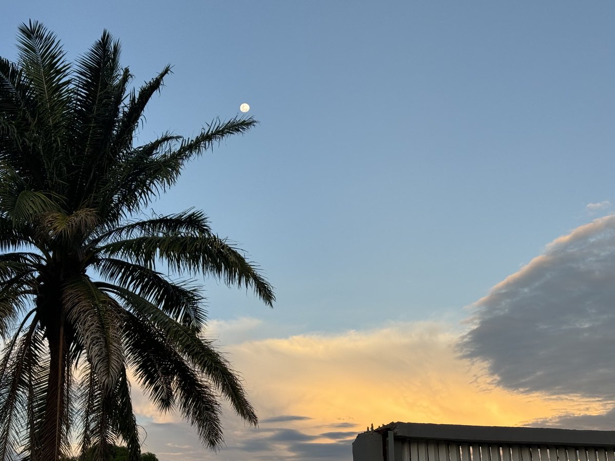 itourtanzania's tweet photo. Good evening from Kyela, Tanzania. #VisitTanzania #BeautifulAfrica https://t.co/GT9Qi6LnzI
