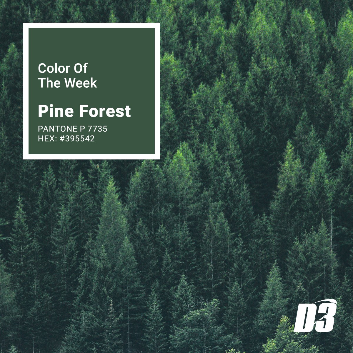 Happy Christmas Eve! Our color this week is inspired by the beloved pine tree many of us bring in for the Christmas holiday. #coloroftheweek #pantone #green #d3