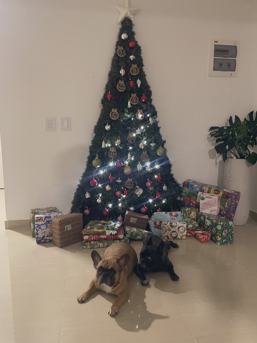 Jamás pensé que esta parte de mi vida llegaría tan rápido!!!! 👩‍❤️‍👨🐶🐶🩷