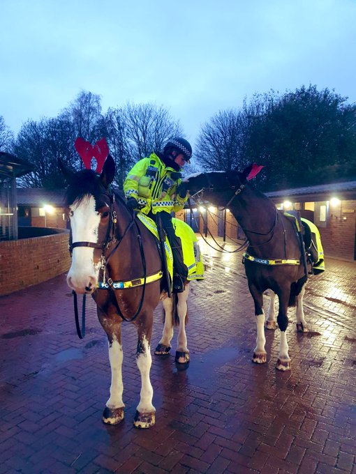 On behalf of all the officers, staff and partners involved with the work of Operation Gallop can I wish you all a Merry Christmas