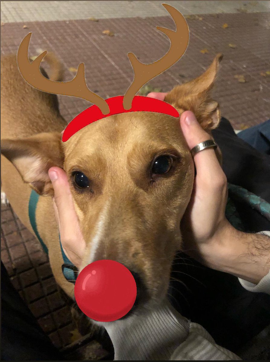 feliz navidad x parte d charco