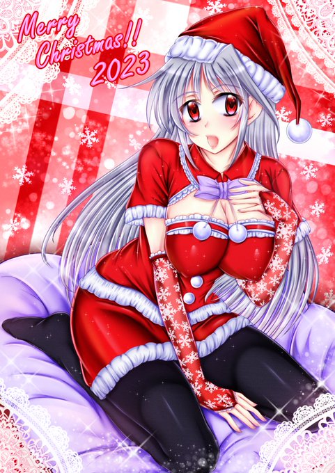 メリークリスマス! って事で、八神リインフォース・アインスさんを描きました～

#リリカルせくしぃサンタ部 