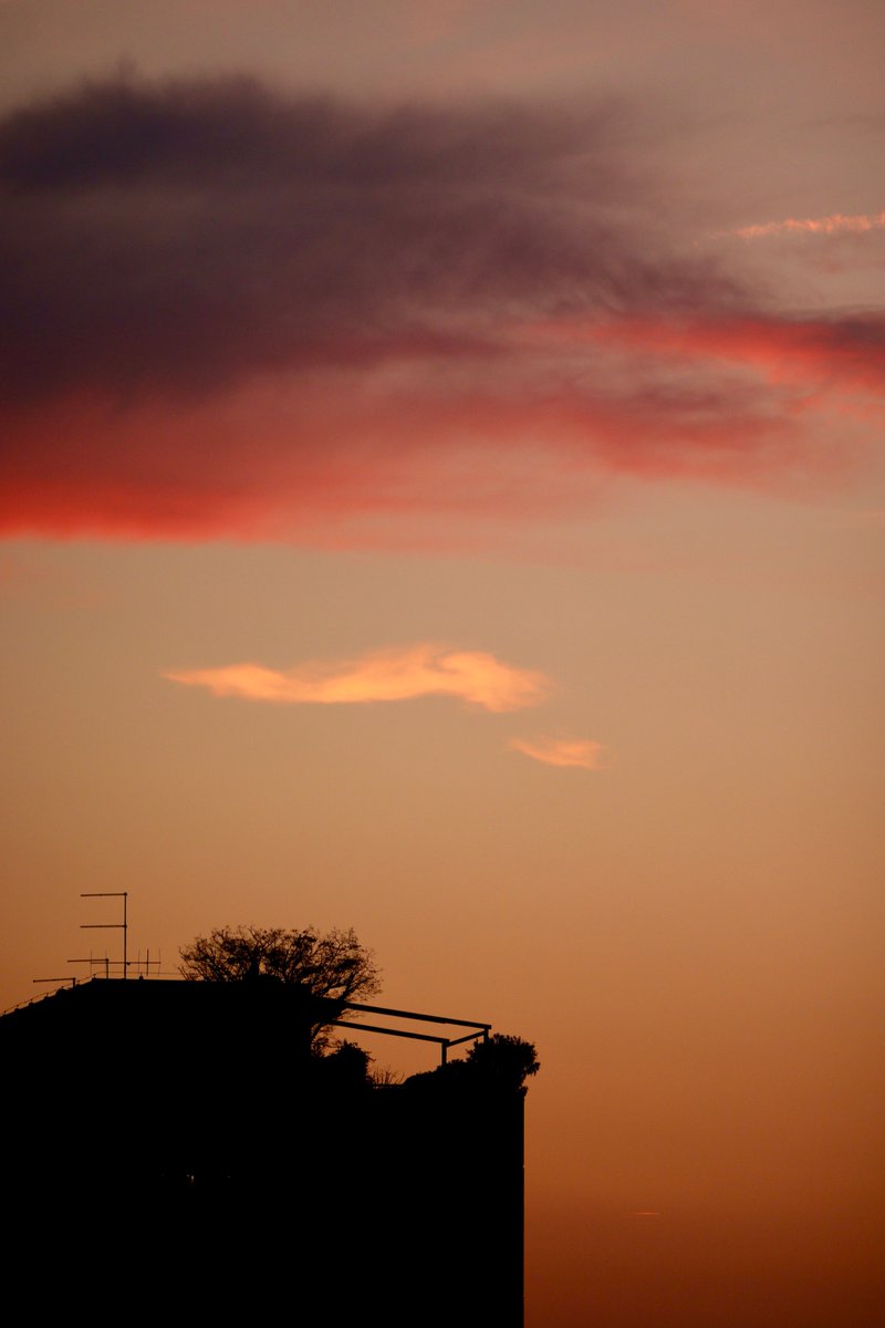 sky tweet media