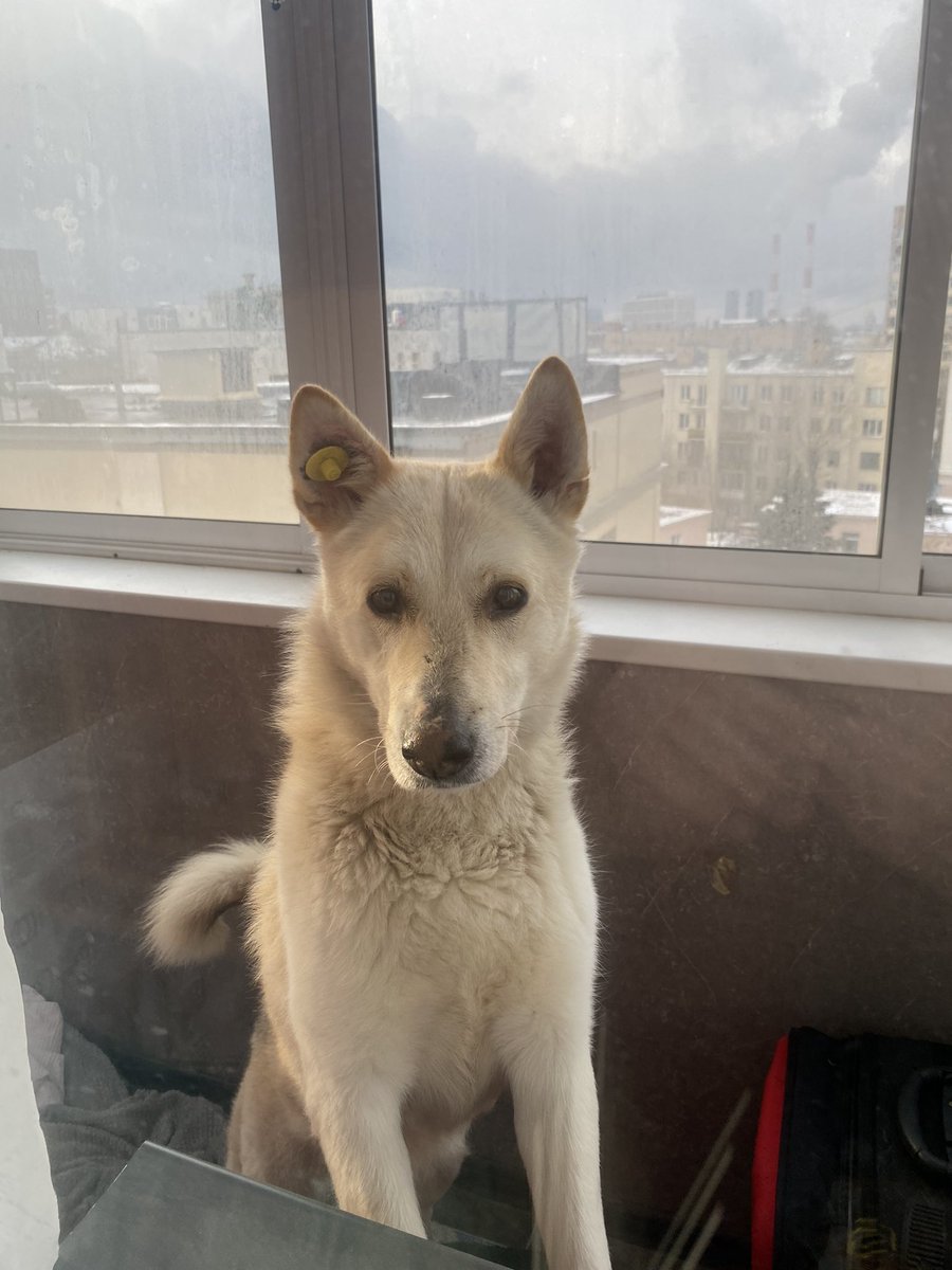 Вы только посмотрите