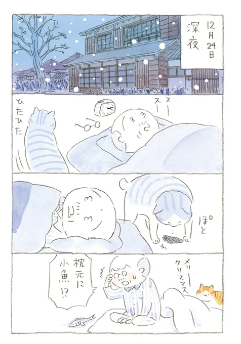 #ねことじいちゃん   🎄🎁🎄⭐️ 