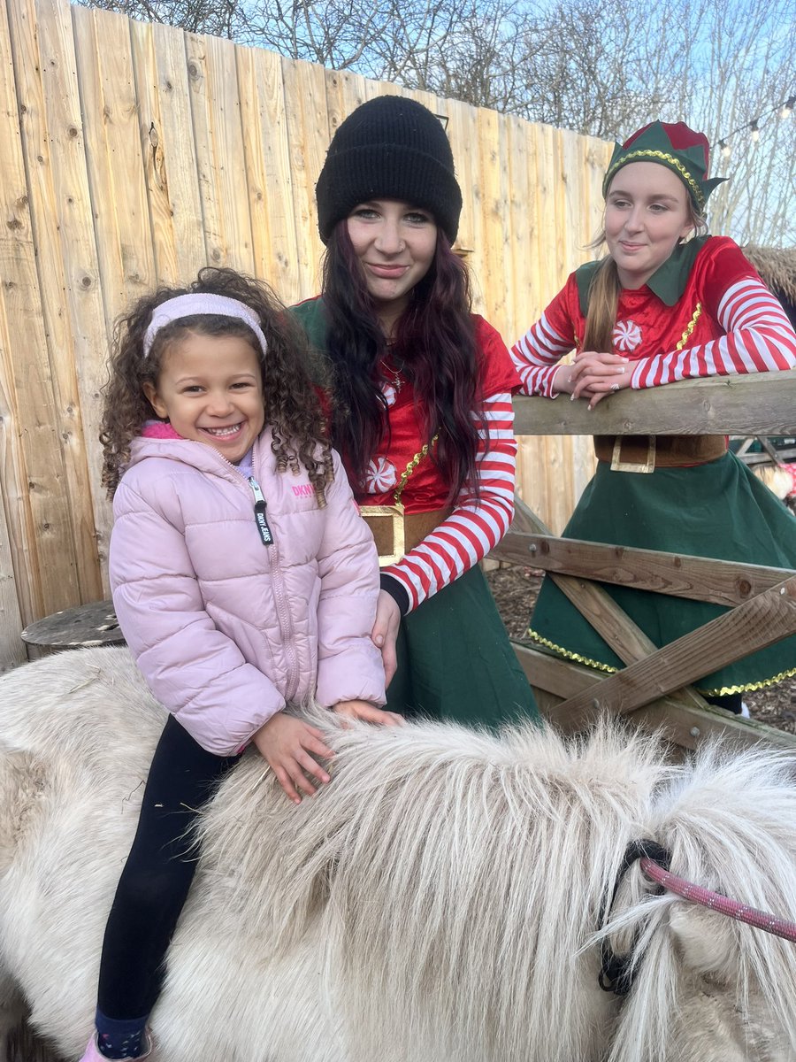 A Great Christmas Eve @nanny_sharons_alpaca_farm a brilliant place to visit for ALL the family!