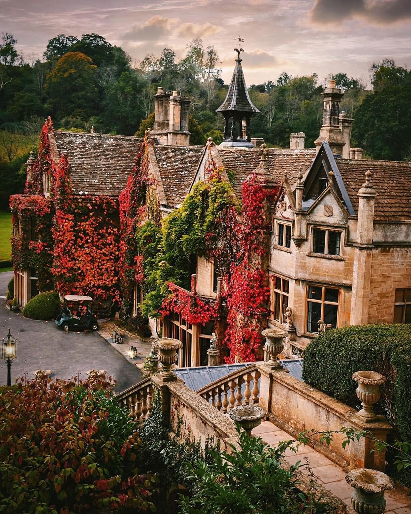 Architecture & Tradition tweet media