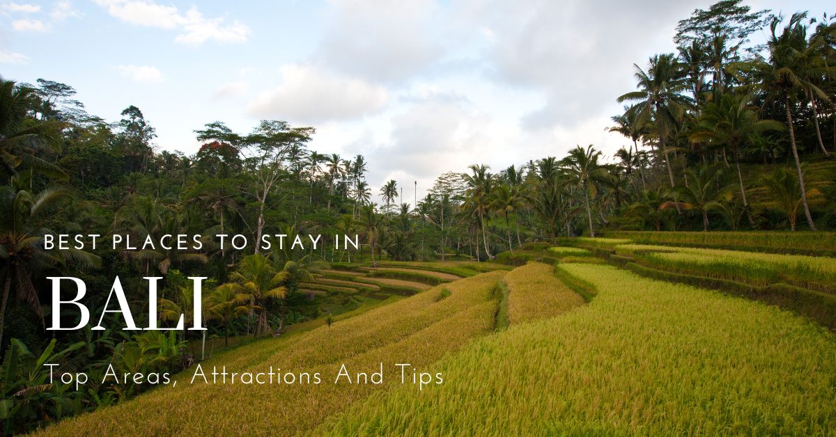Experience nature you thought only existed in dreams in Bali. >> goaw.pl/47sP0RO @btbbali @BaliToursmBoard @wonderfulid #lifeinbali #indonesia #bali
