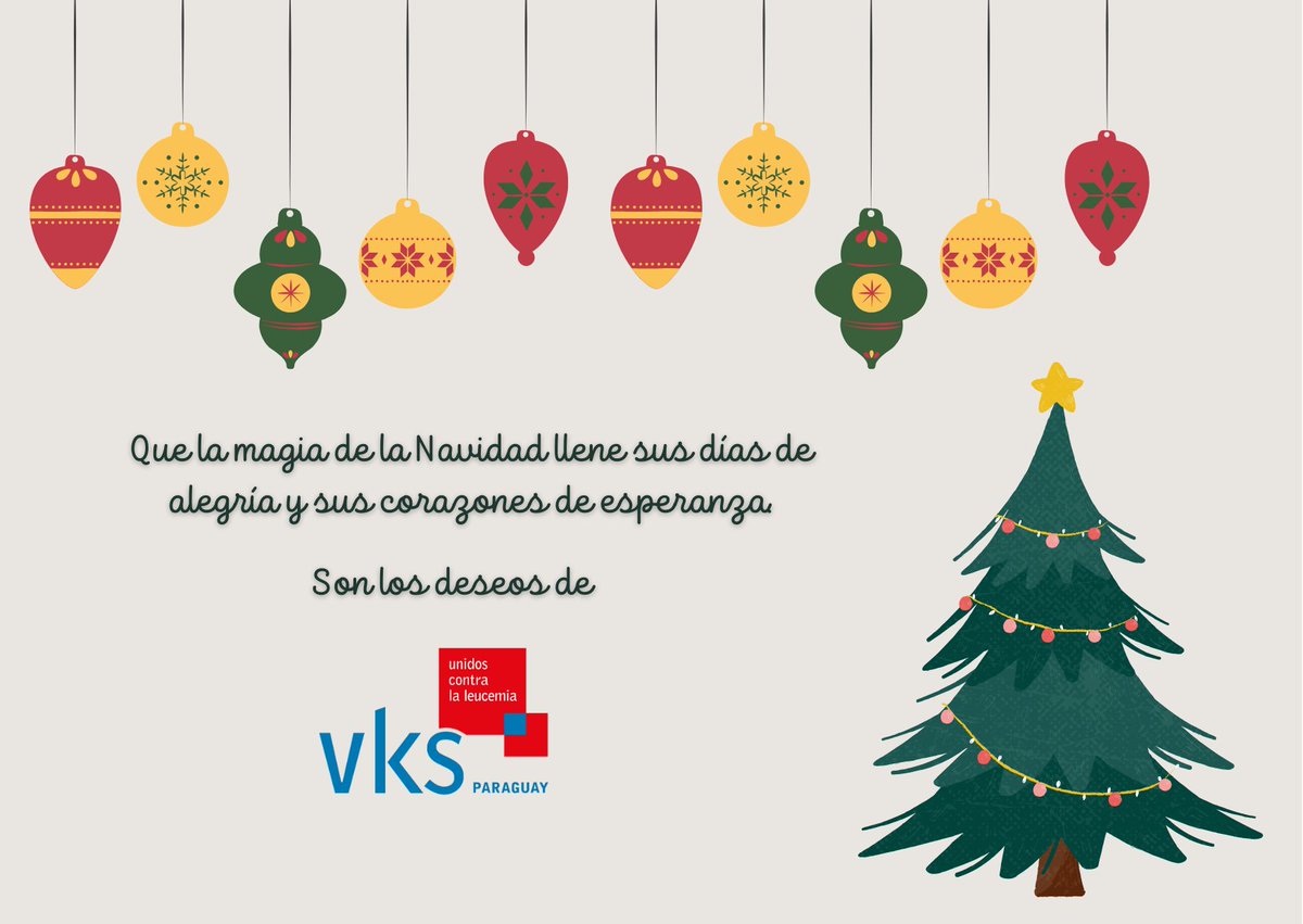 🔹Desde VKS Paraguay le deseamos una feliz navidad!
Agradecidos con el apoyo y cariño que recibimos y esperando retorne a los hogares paraguayos esta noche de paz 🤍