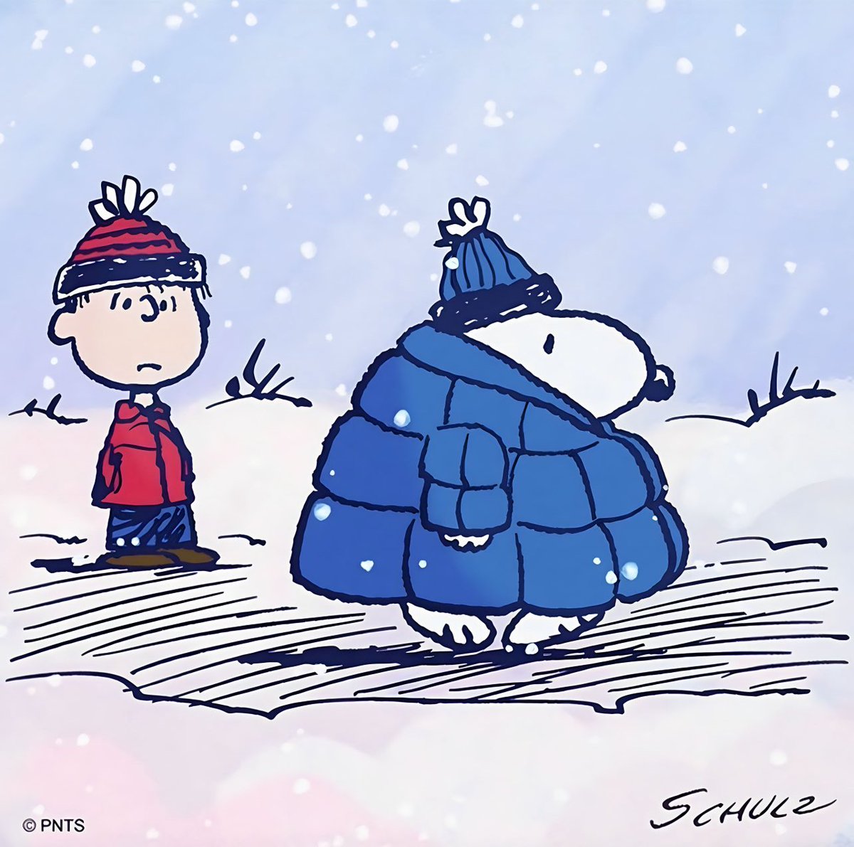 gir1genius's tweet image. snoopy image of the day