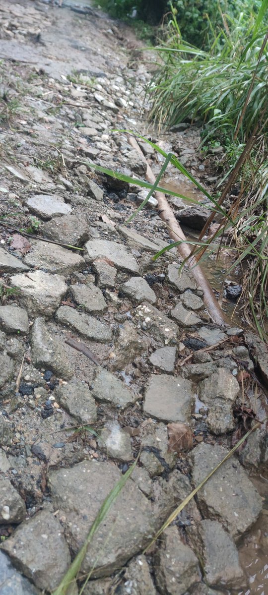 AnaMariaDL's tweet photo. Llegó la navidad y el niño Jesús va a tener que pasar en 4x4 por @FilasdeMariches. Km12 sector  Monseñor Áreas, Increíble las condiciones de la vía y el tiempo que lleva así. A quien tendremos que llamar para que solucione el problema? @Canal_Televen @El_Noticiero @harleymonse1 https://t.co/yyI8zFT4Gi