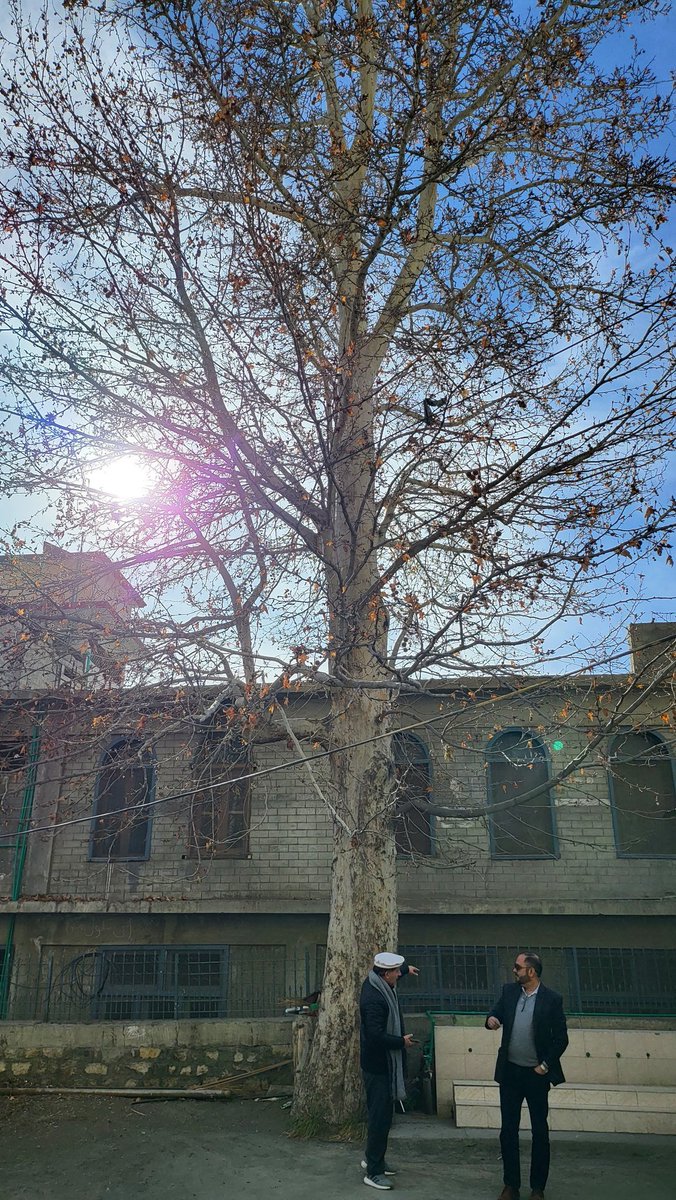 Moinhunzai's tweet photo. A deja vu moment. Visited the first school of Altit Hunza where my grandfather was it's first informal and then a formal teacher circa 1943-1946.
The first batch of his students became teachers. There stands a tall tree under which my father used to teach.
#education #altit https://t.co/ESchLFzpSa