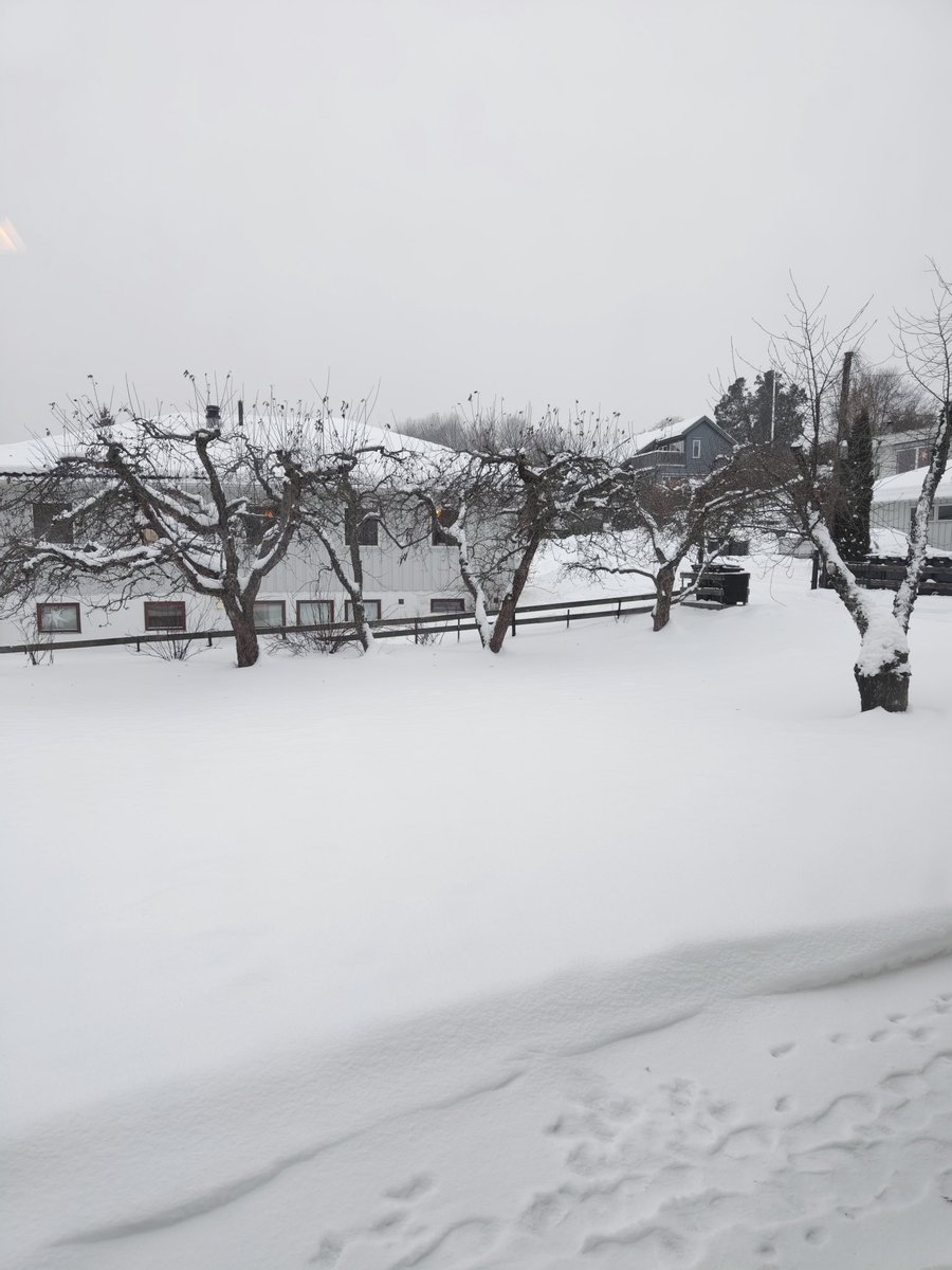Celebrating a white Christmas in Norway