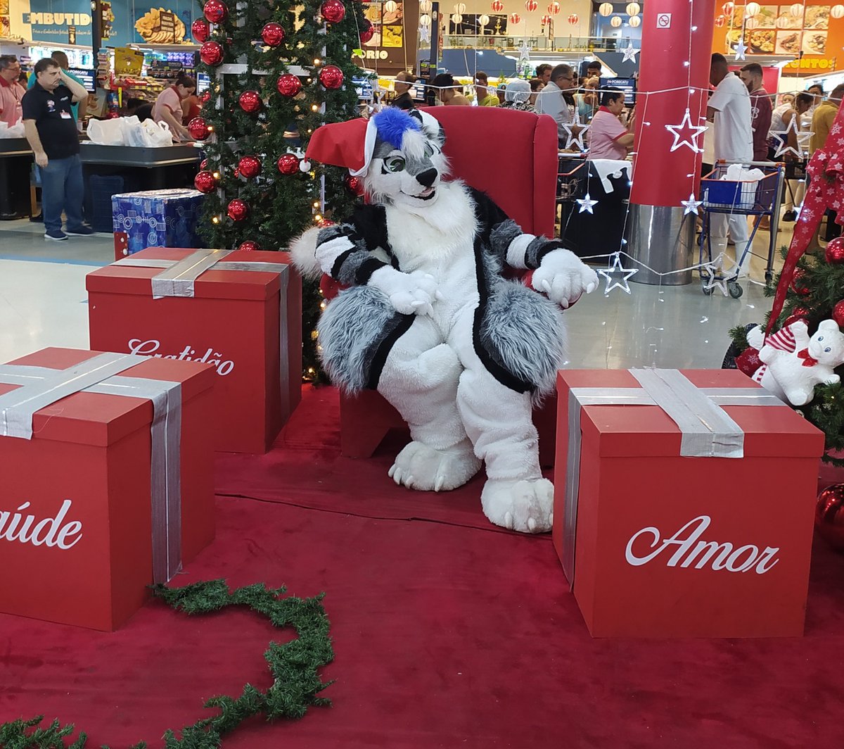 KaspherDraws's tweet photo. Olha se não tem Noel porque cheguei pouco tarde tem KaspherNoel ksksksk 

#furry #fursuit #Cristmas #santa #FursuitEveryday https://t.co/cxzzxtY1Cl