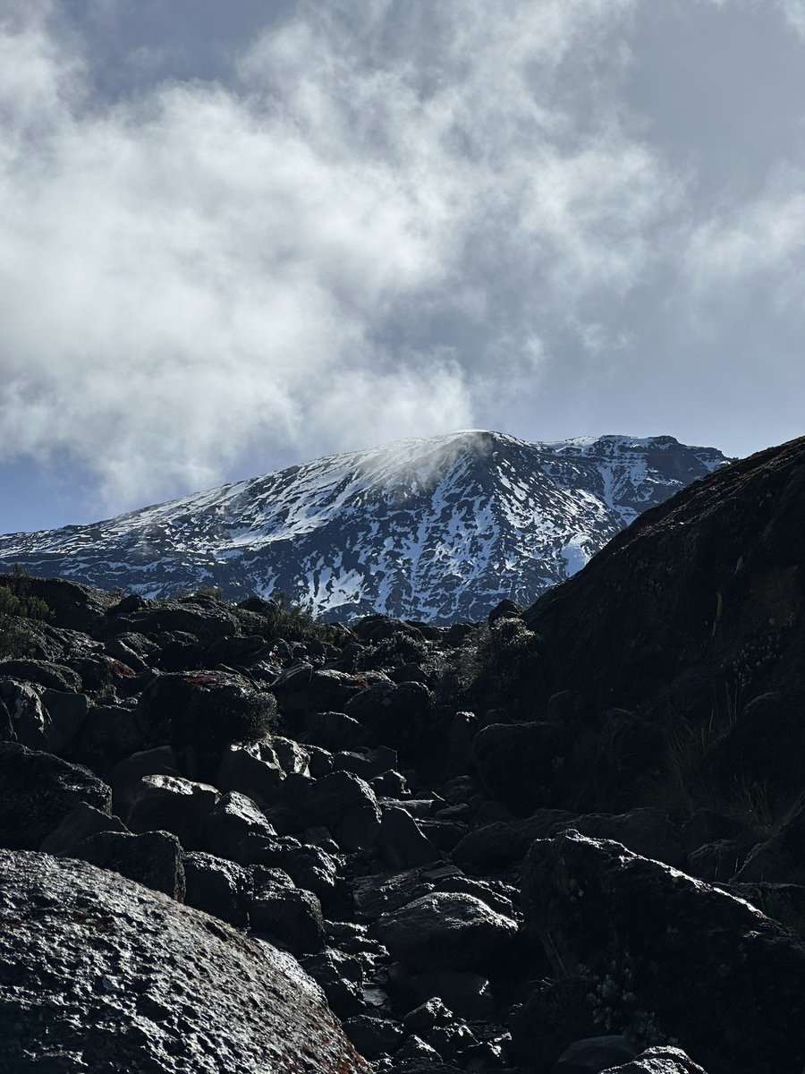 🥷🏿 tweet media