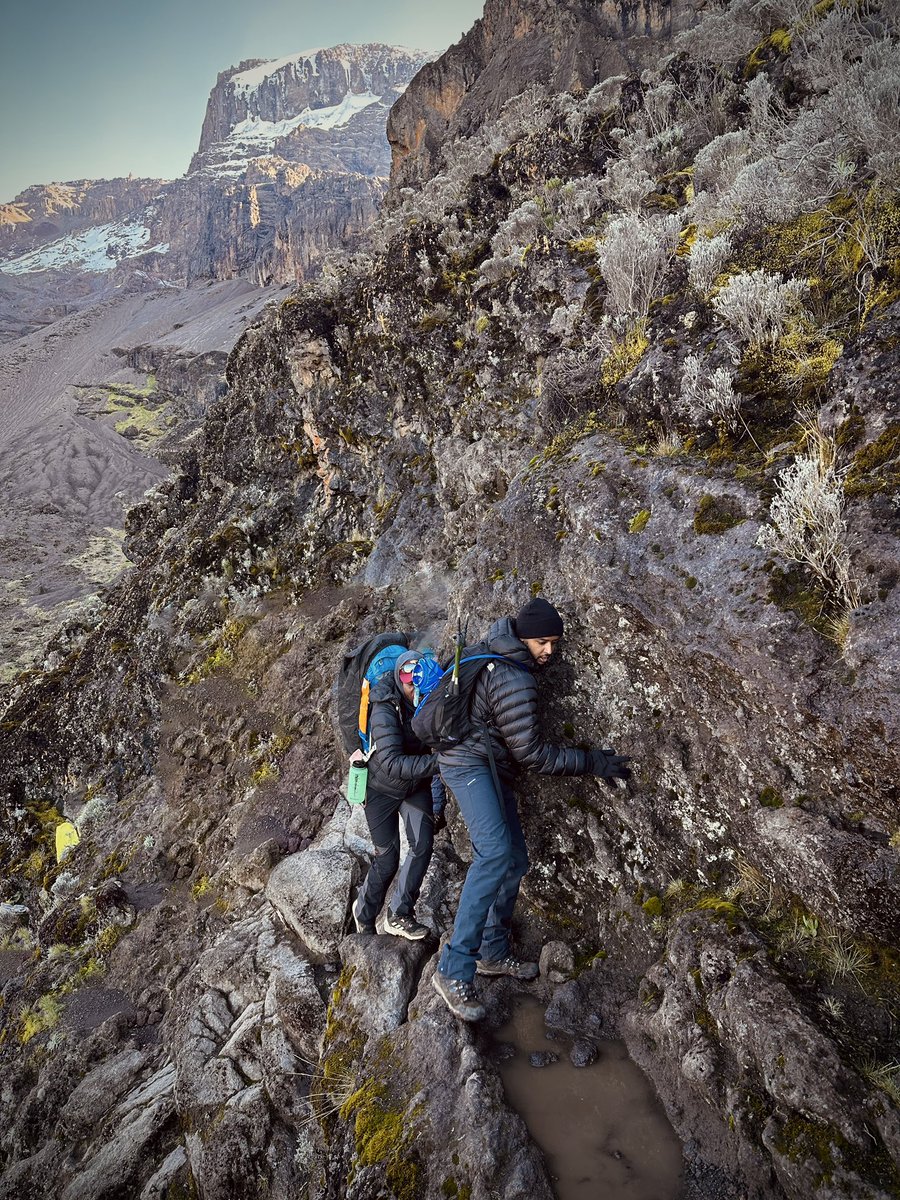 🥷🏿 tweet media