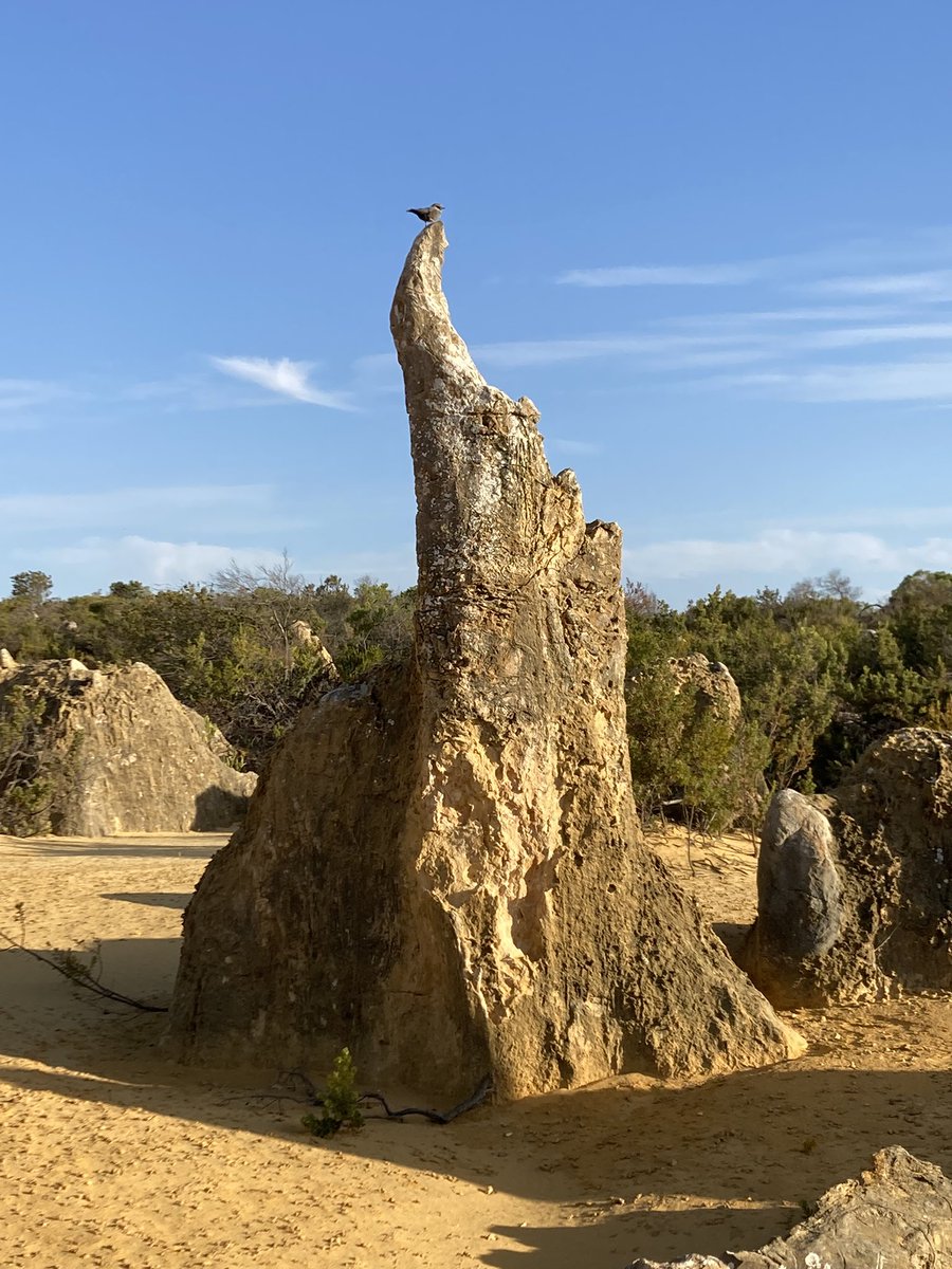 Fantastic Pinnacles at 2hrs from Perth. Must to go
