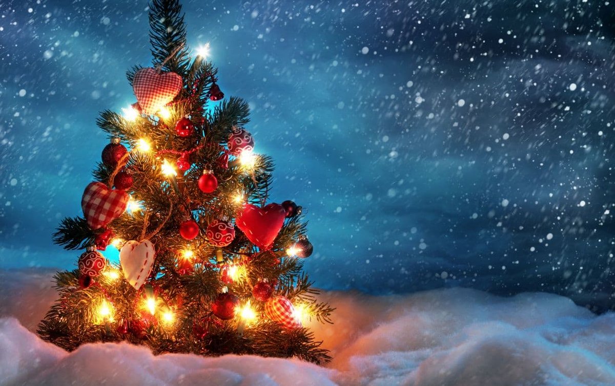 "Wishing you a magical Christmas filled with love, laughter, and cherished memories. May the holiday spirit illuminate your heart. #MerryChristmas #JoyfulMoments #FestiveCheer"
