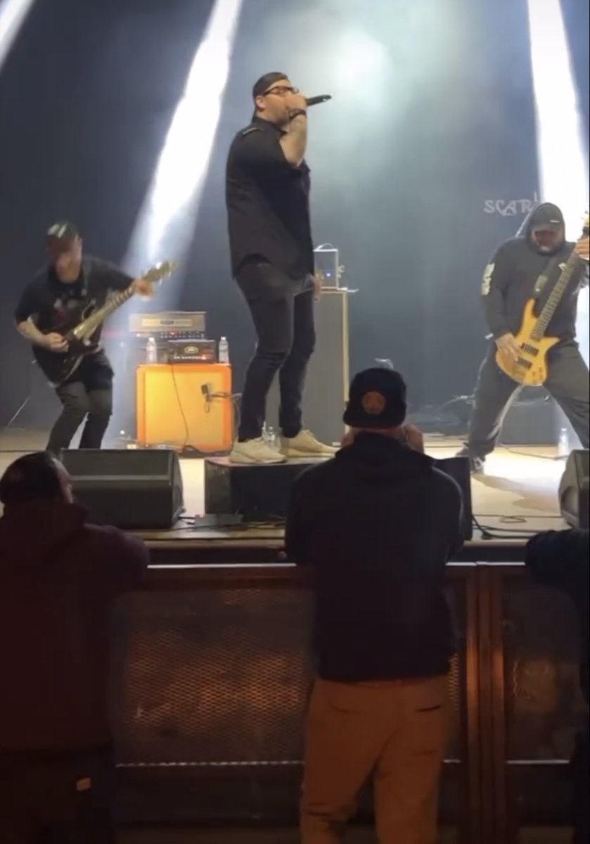 The Hammer Collective tweet media