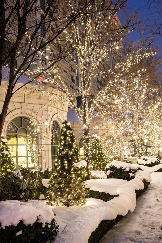 capriciousfree's tweet photo. Warmest wishes for a happy holiday season with lots of love.❤️Merry Christmas!🎄☃️✨💕✨😊 https://t.co/ox6c8vgGNf