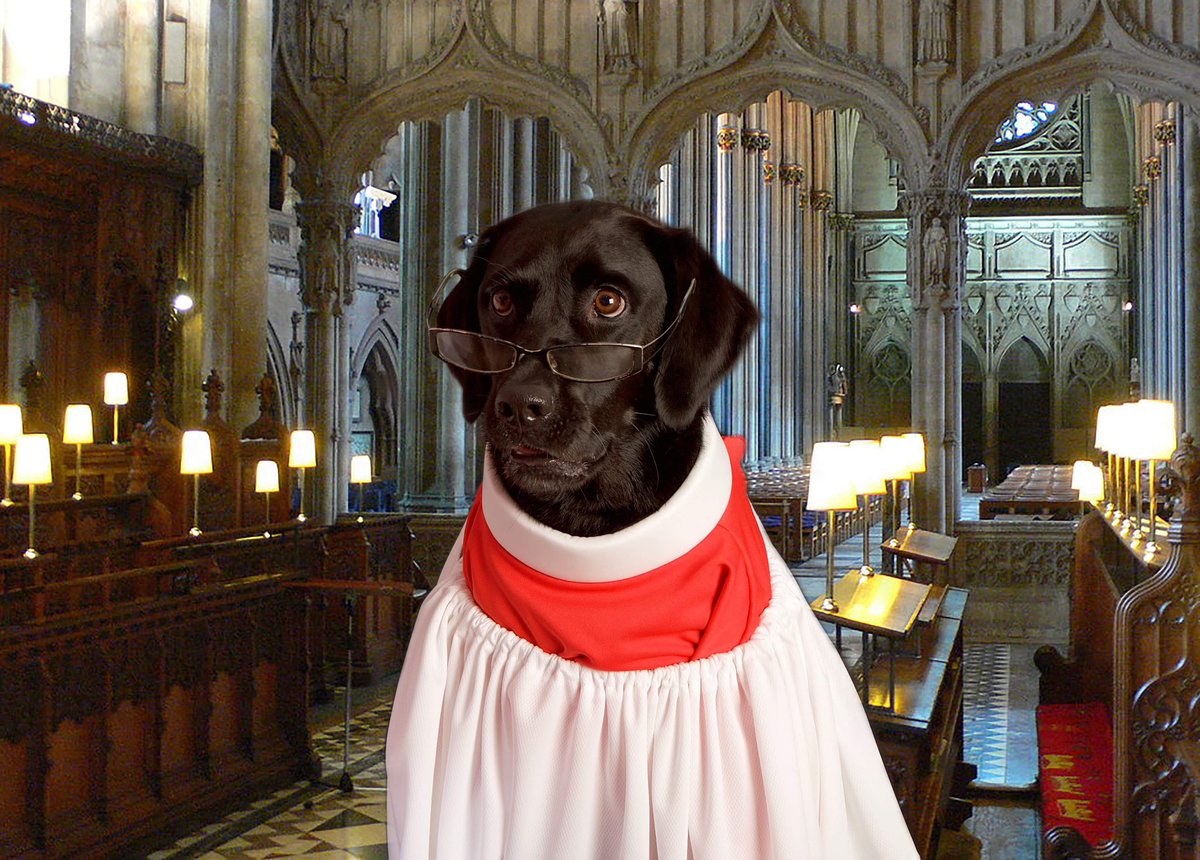 @ChoirOfKingsCam @Kings_College Was my inspiration for this photoshoot . Looking forward to carols from Kings this evening #KingsCollege #Carols #carolsfromkings #cathedraldog