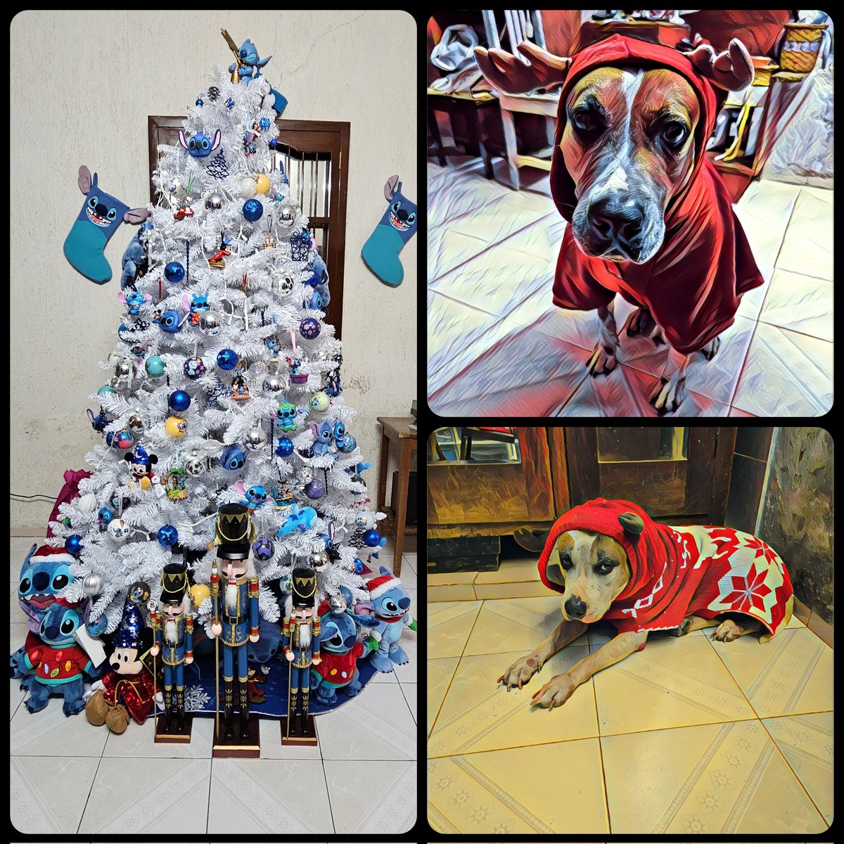 CPLiquis's tweet photo. ...Deseo que pasen una excelente Navidad en  de sus familias y seres queridos...Que el Niño Jesús les traiga amor, paz, felicidad y mucha salud... ¡Feliz Navidad!... https://t.co/FPJJWsNoJz