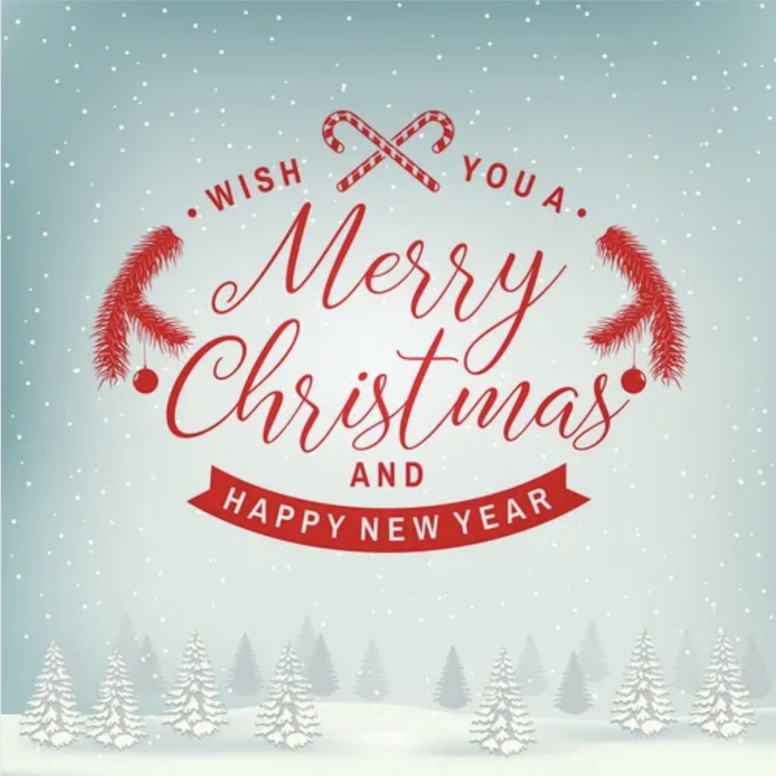 Sam🍍🍕 tweet media