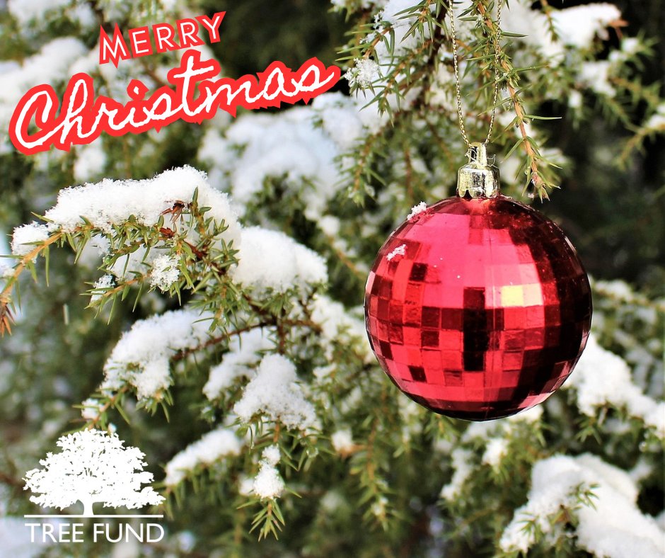 Wishing a merry Christmas to all those that celebrate!