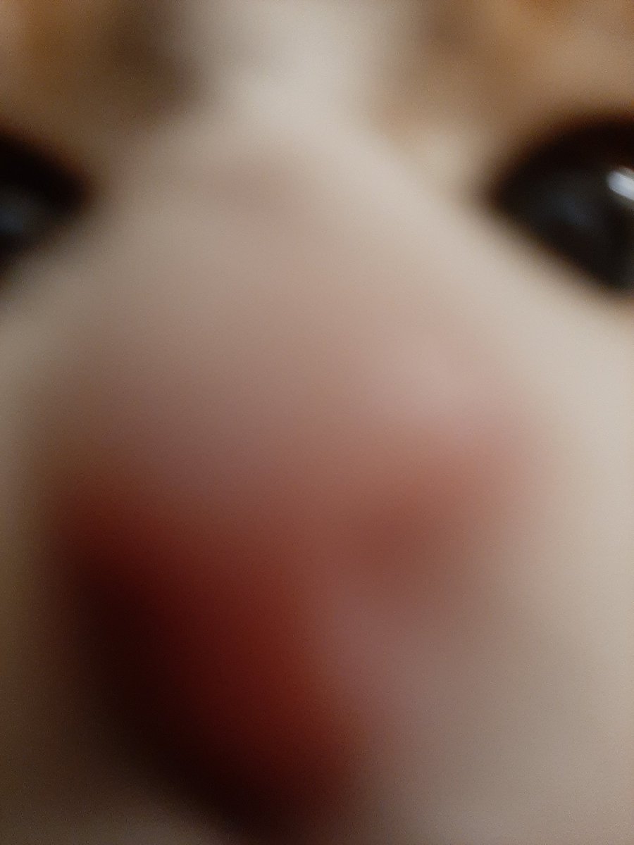 Mr Chat des étoiles ⭐ & Rafale 🌪 🍋 🌴 🧡 tweet media