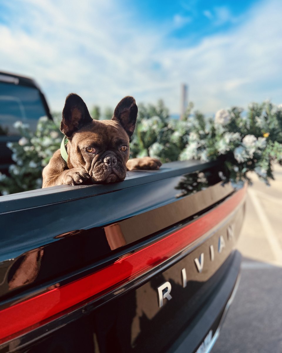 Rivian's tweet photo. As 2023 winds down, we're sharing some of our favorite moments captured by Rivian owners, including these, which celebrate the joy of a vehicle that inspires getting out there and making memories together. 💛⚡ https://t.co/iWrmY44WYz