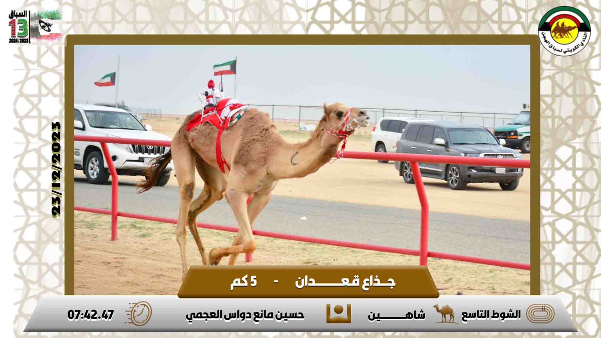 hjen_kw's tweet photo. السباق الثالث عشر
23-12-2023 https://t.co/2Pv47olTCk