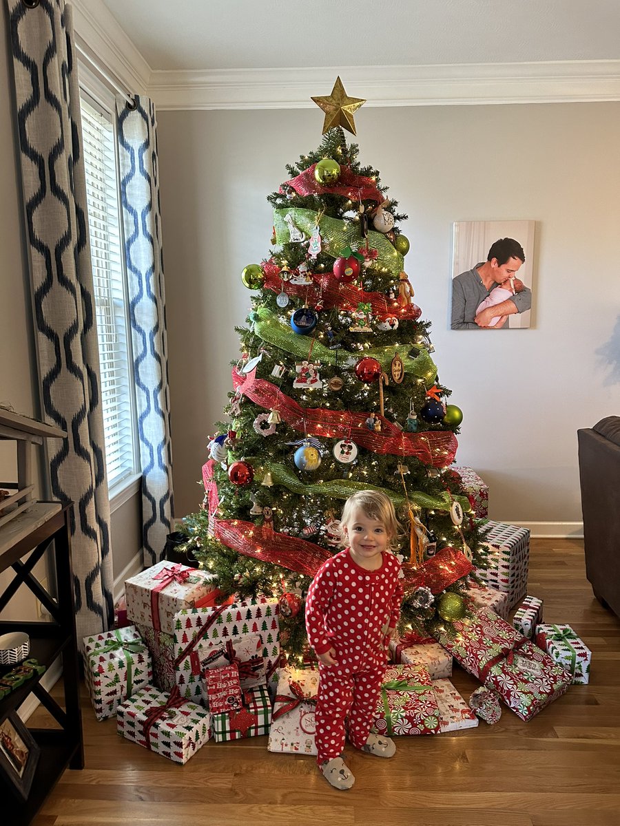 chrisghancock's tweet photo. @DCheverere Last minute 2023 tree rating submission. https://t.co/jJvYbnxQnI