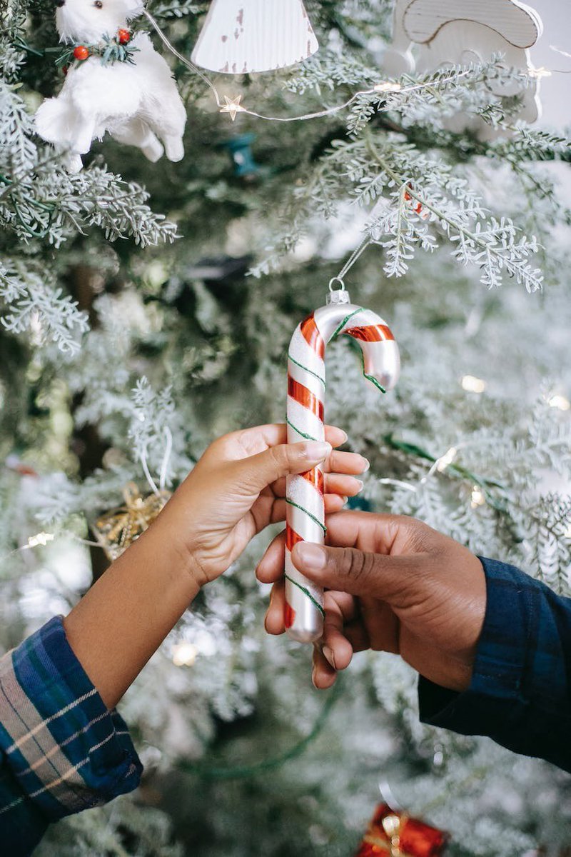 OPSEU local 273 wishes you and your loved ones a safe and happy Holiday.