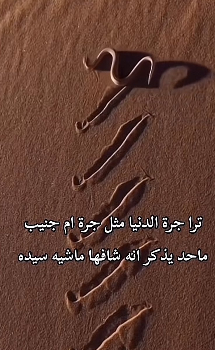مشعل tweet media