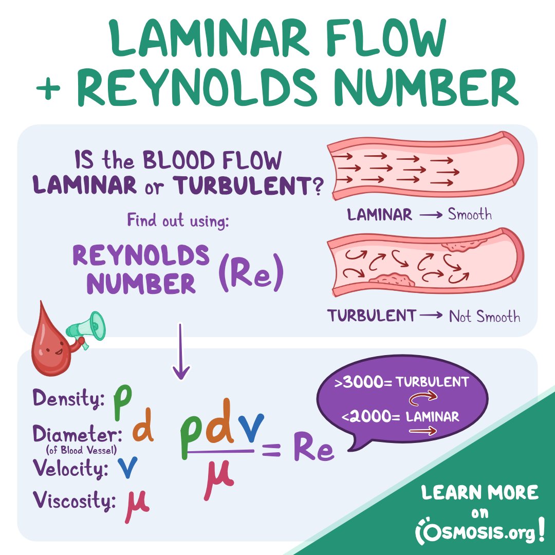 OsmosisMed's tweet photo. Today's #PhysiologyFeature is about laminar flow and Reynolds number. Laminar flow means blood flows smoothly through the vessels. Turbulent flow is the opposite: blood flow that's disrupted.
Learn more: https://t.co/hWiKPRn3Fn https://t.co/I22bkq3qMu