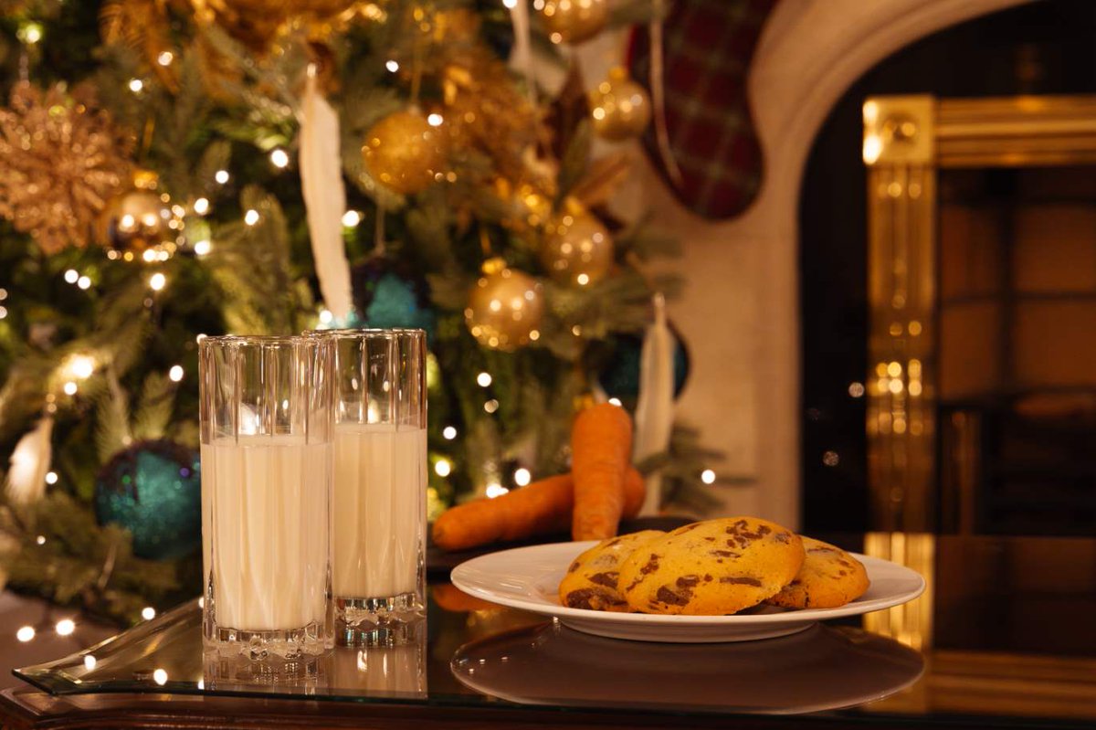 powerscourtHtl's tweet photo. The stockings were hung by the chimney with care...giddy with excitement here at Powerscourt Hotel 🎅🎁#Christmas #PowerscourtHotel #ExactlyLikeNothingElse #FiveStarHotel https://t.co/Cvl8VYckJl